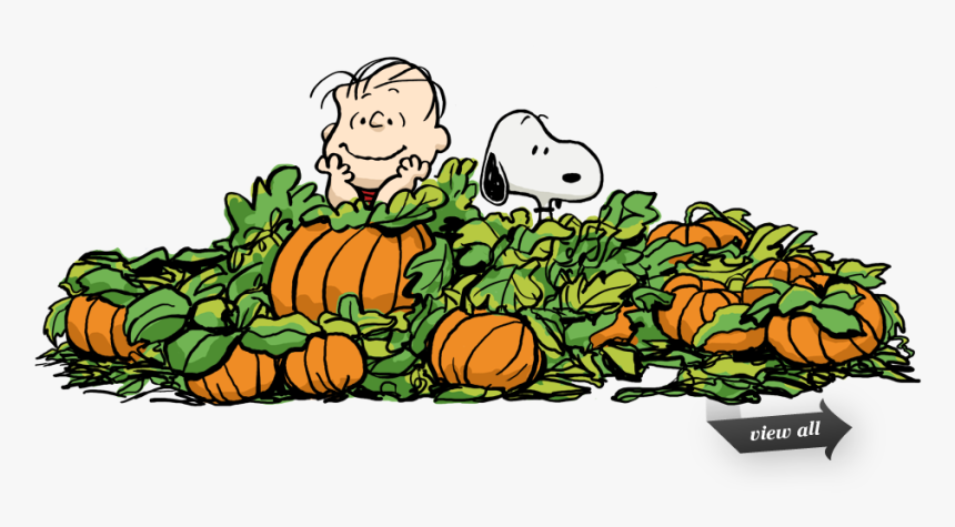 Pumpkin Patch Png Clipart - Charlie Brown Great Pumpkin Clipart, Transparent Png, Free Download