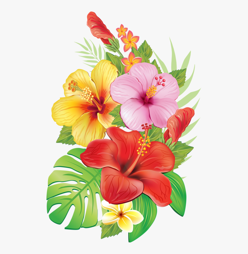 Hibiscus Flower Drawing Stock Vector © Katerinamk - Tropical Flowers Vintage Png, Transparent Png, Free Download