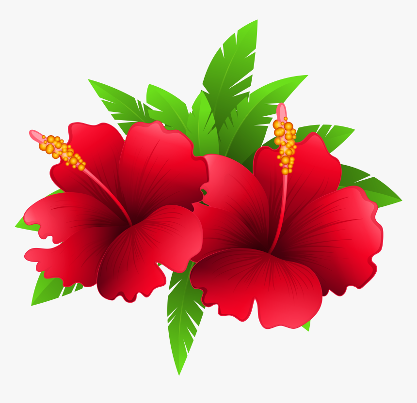 Exotic Flowers And Plant Png Clipart Image Festa Havaiana - Good Morning Image Wednesday, Transparent Png, Free Download