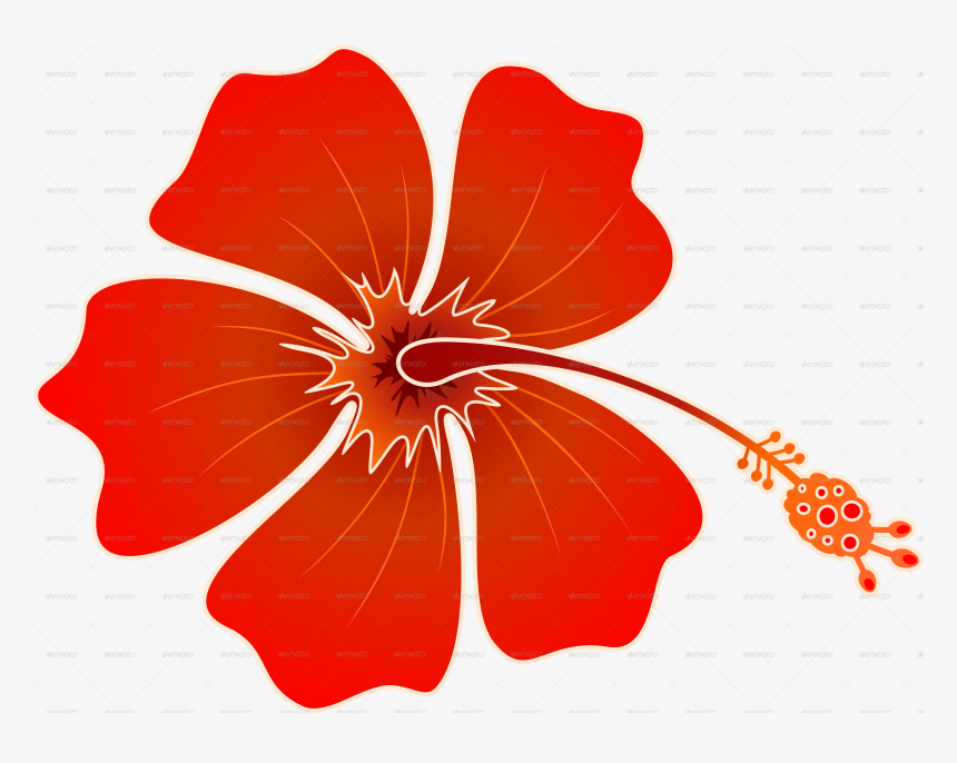 Hibiscus Vector Png, Transparent Png, Free Download