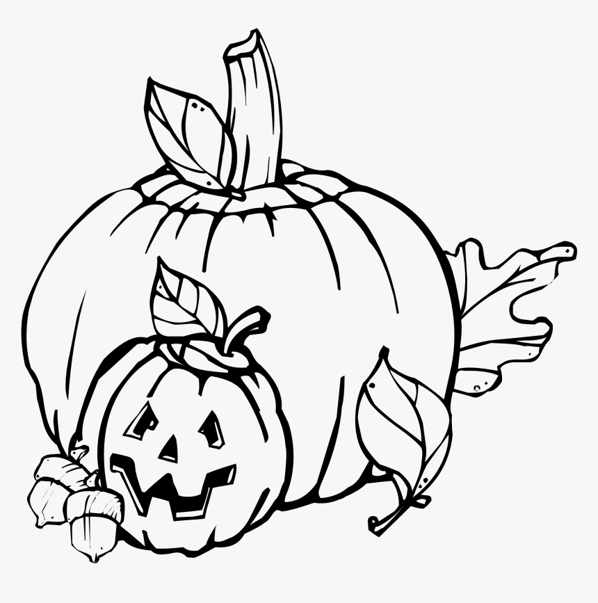 Clip Art Panda Free - Black And White Clipart Pumpkin, HD Png Download, Free Download