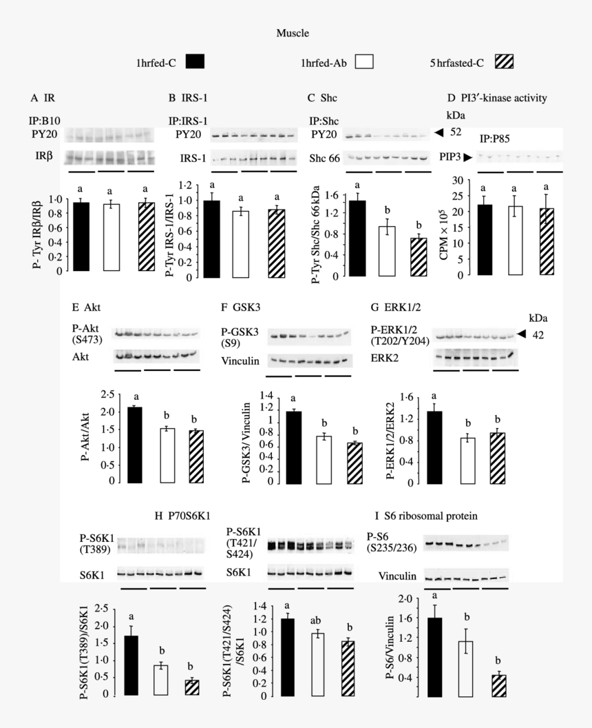 Screenshot, HD Png Download, Free Download