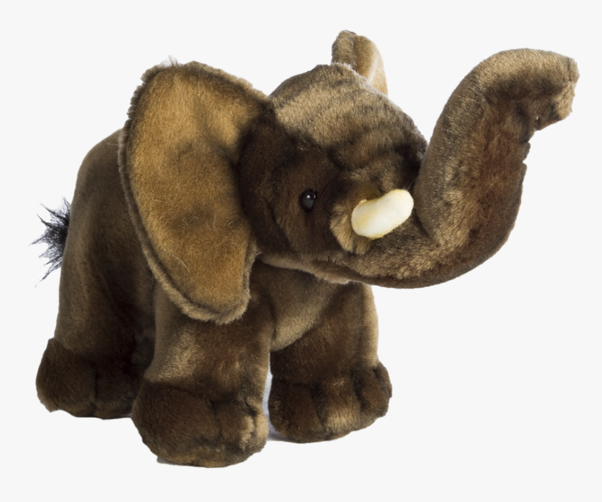 Transparent Baby Elephant Png - Indian Elephant, Png Download, Free Download