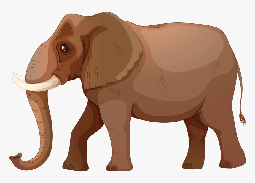 Different Kinds Of Animals In Land, HD Png Download, Free Download