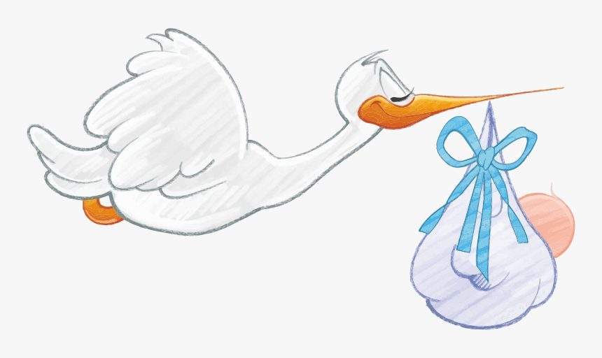 Stork Carrying Baby Boy - Baby Clipart Stork, HD Png Download, Free Download