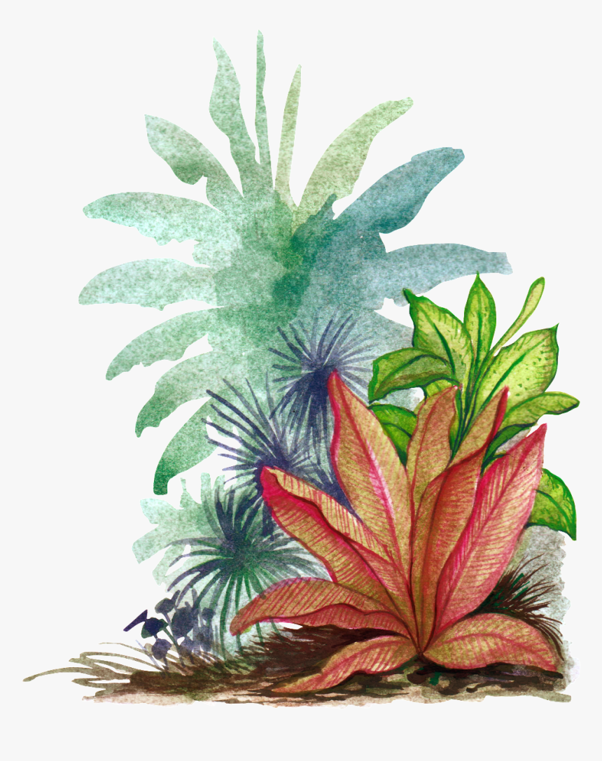 Transparent Jungle Leaves Png - Tropics Watercolor Transparent Pngs, Png Download, Free Download