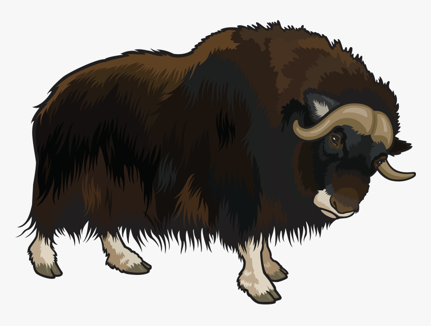 Buffalo Png Clipart - Buffalo Clipart Png, Transparent Png, Free Download