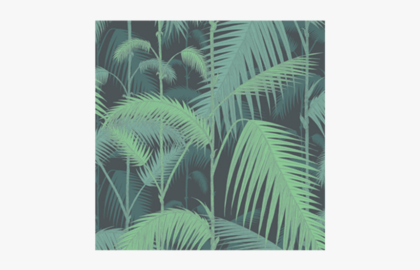 Palm Jungle Wallpaper - Leafy Jungle, HD Png Download, Free Download
