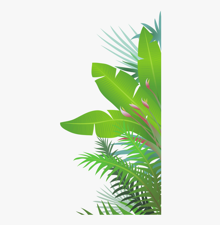 Jungle Leaves - Transparent Jungle Leaves Clipart, HD Png Download, Free Download