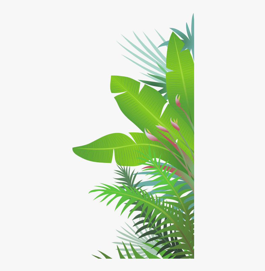 Jungle Leaves Transparent Jungle Leaves Clipart Hd Png Download Kindpng