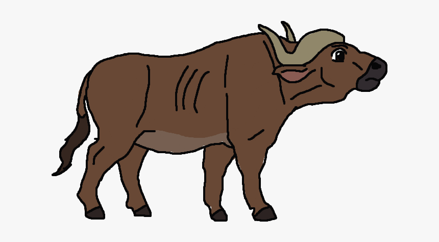 Cape Buffalo Png Pic - Buffalo Clipart Transparent Background, Png Download, Free Download