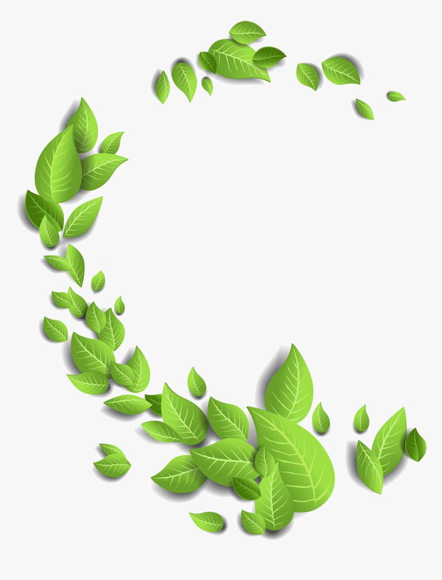 Fresh Leaves Branch Hd Png, Transparent Png, Free Download