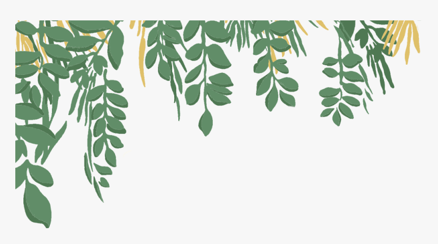 Jungle Book Leaves - Ulmus Alata, HD Png Download, Free Download