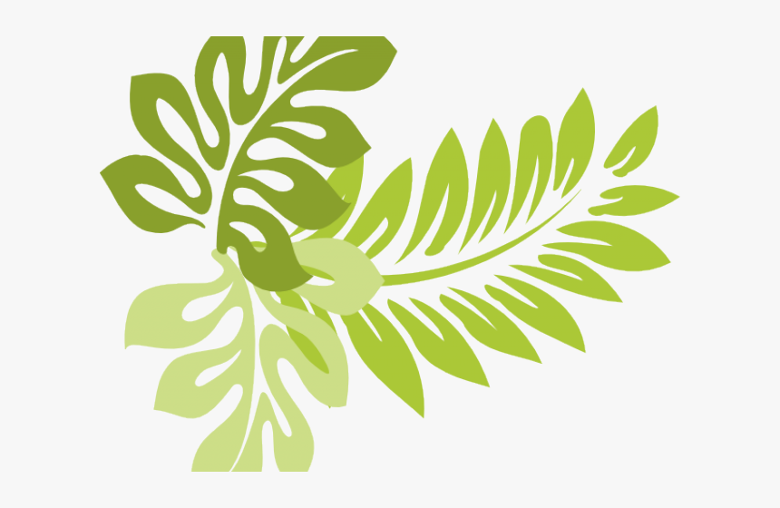 Tropics Clipart Jungle Leaves - Hibiscus Leaves Clip Art, HD Png Download, Free Download