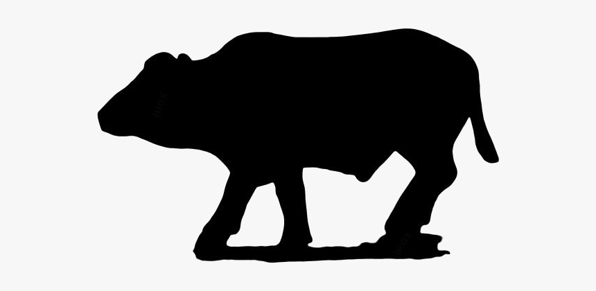 African Buffalo Png Transparent Images - Bull, Png Download, Free Download