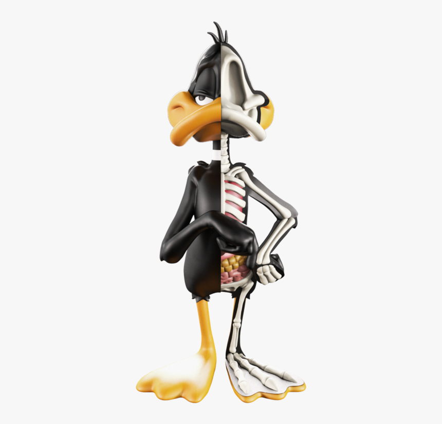 Xxray Daffy Duck - Jason Freeny Looney Tunes, HD Png Download, Free Download