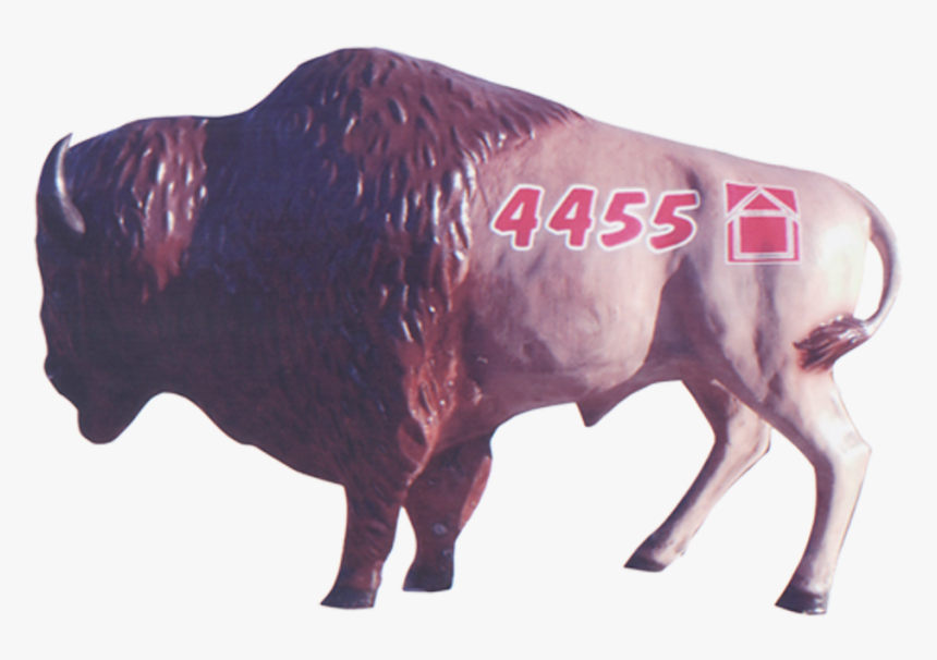 Buffalo Overhead Door Buffalo - Bull, HD Png Download, Free Download