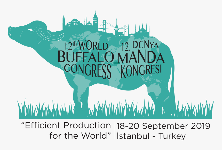 Hippopotamus, HD Png Download, Free Download