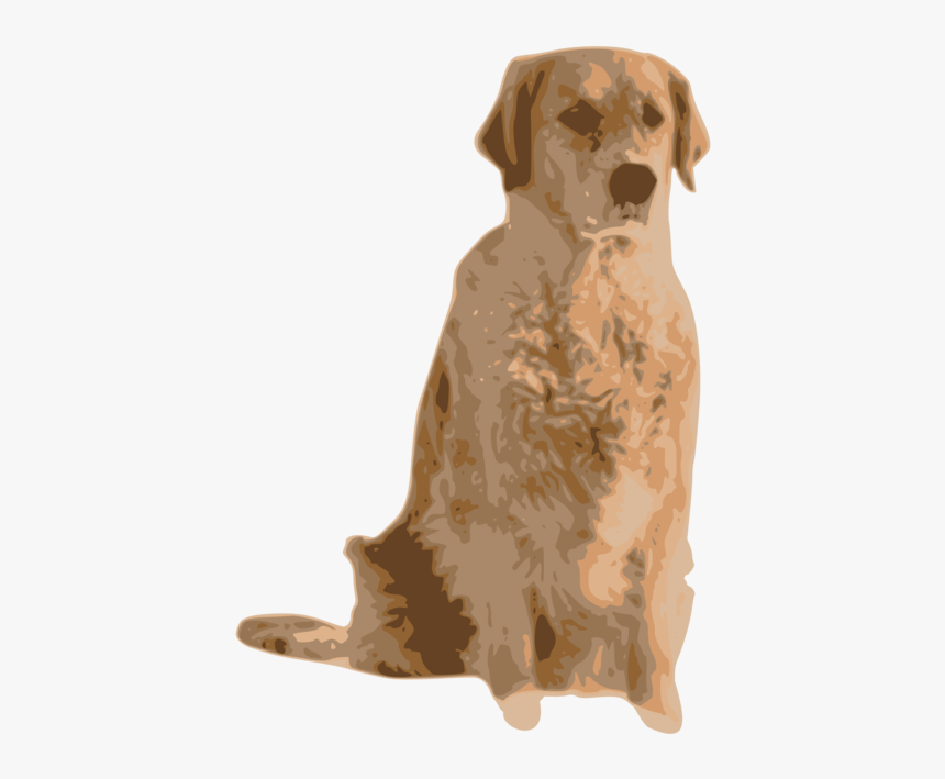 Companion Dog,carnivoran,nova Scotia Duck Tolling Retriever - Golden Retrievers In Winter, HD Png Download, Free Download