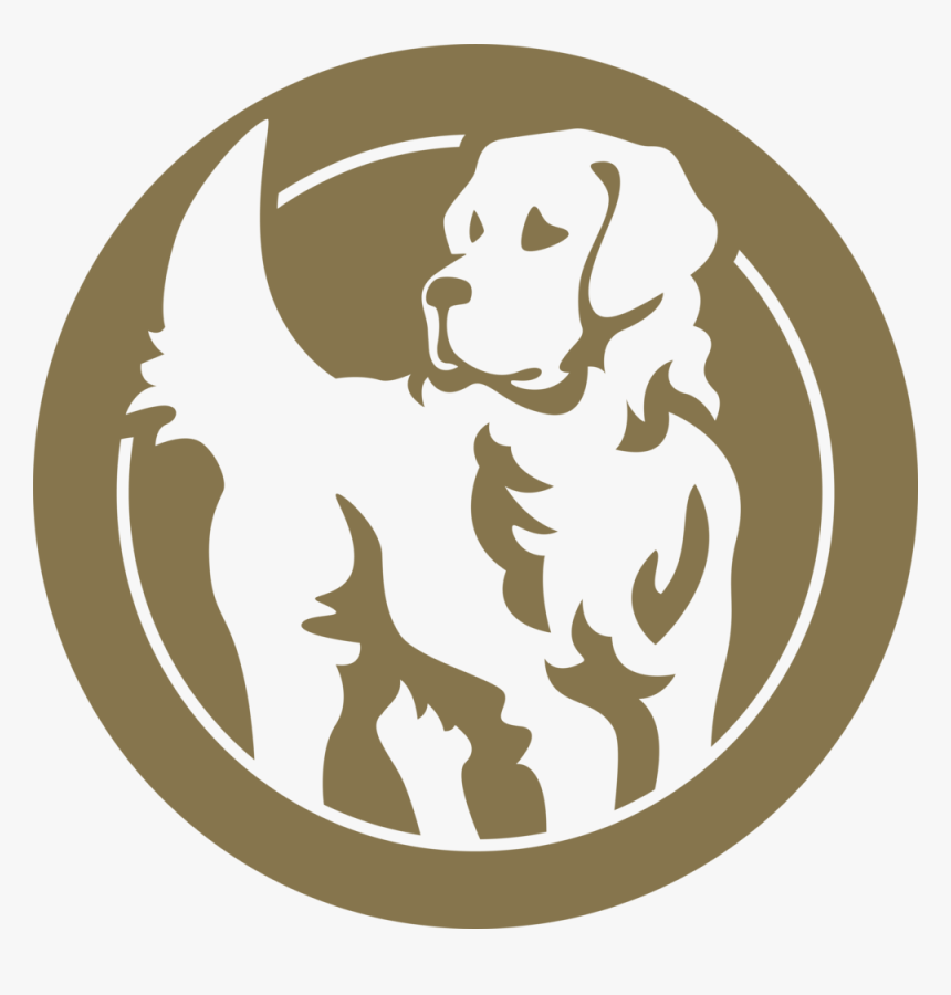 Golden Retriever Png, Transparent Png, Free Download