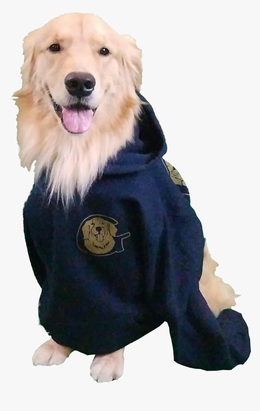 Golden Retriever Sweatshirt - Golden Retriever, HD Png Download, Free Download