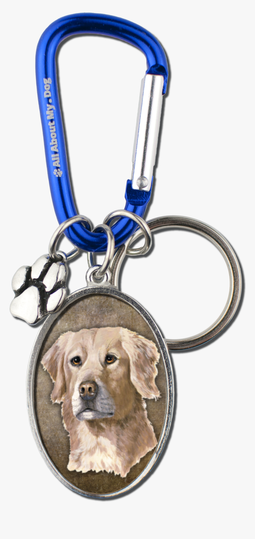 Golden Retriever, HD Png Download, Free Download