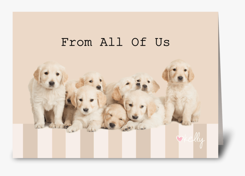 Golden Retriever Puppies From All Of Us Greeting Card - Labrador Retriever, HD Png Download, Free Download