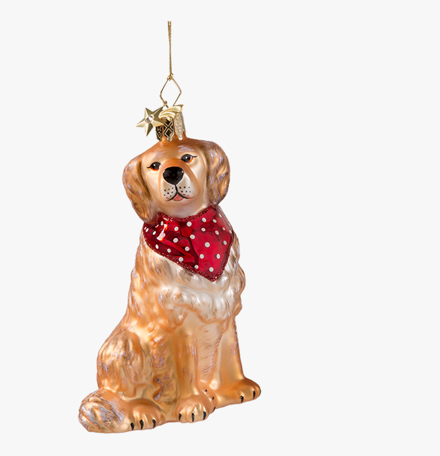 Golden Retriever, HD Png Download, Free Download