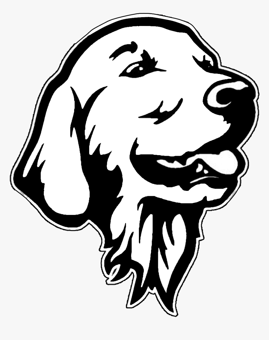 Golden Retriever Head Drawing, HD Png Download, Free Download