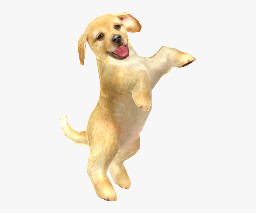 Dog Yawns, HD Png Download, Free Download