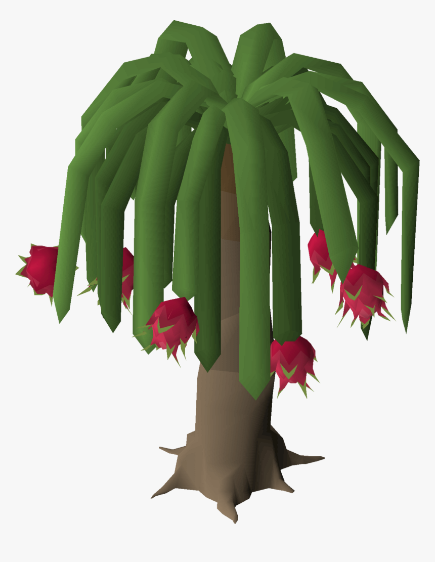 Dragon Fruit Tree Osrs, HD Png Download, Free Download