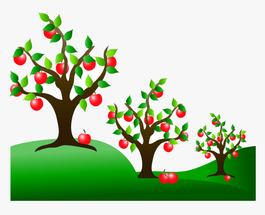 Apple Tree Fruit Trees Clipart Free Cliparts Images - Apple Orchard Clip Art, HD Png Download, Free Download