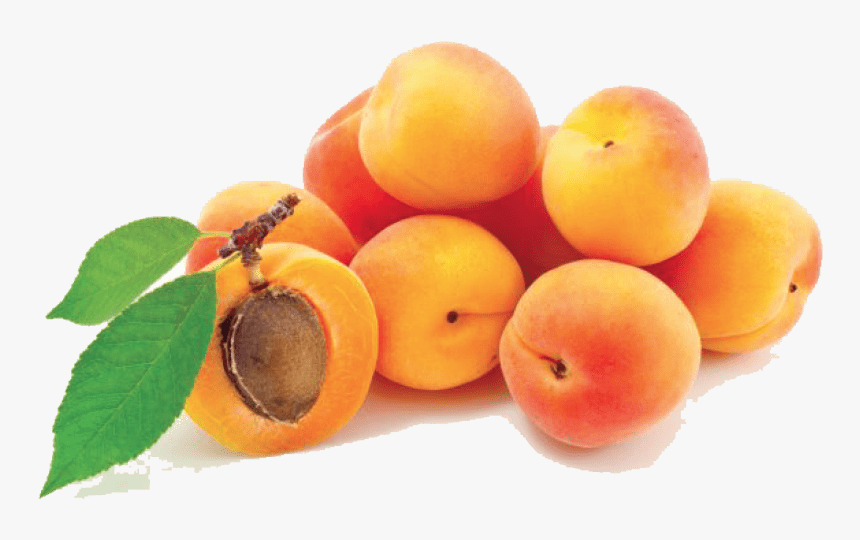 Fruit-tree - Peach & Apricot Png, Transparent Png, Free Download