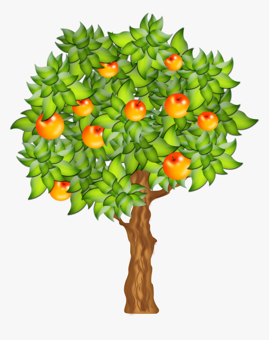 0 F132b 6c858cbe Orig - Tree With Fruit Clip Art, HD Png Download, Free Download