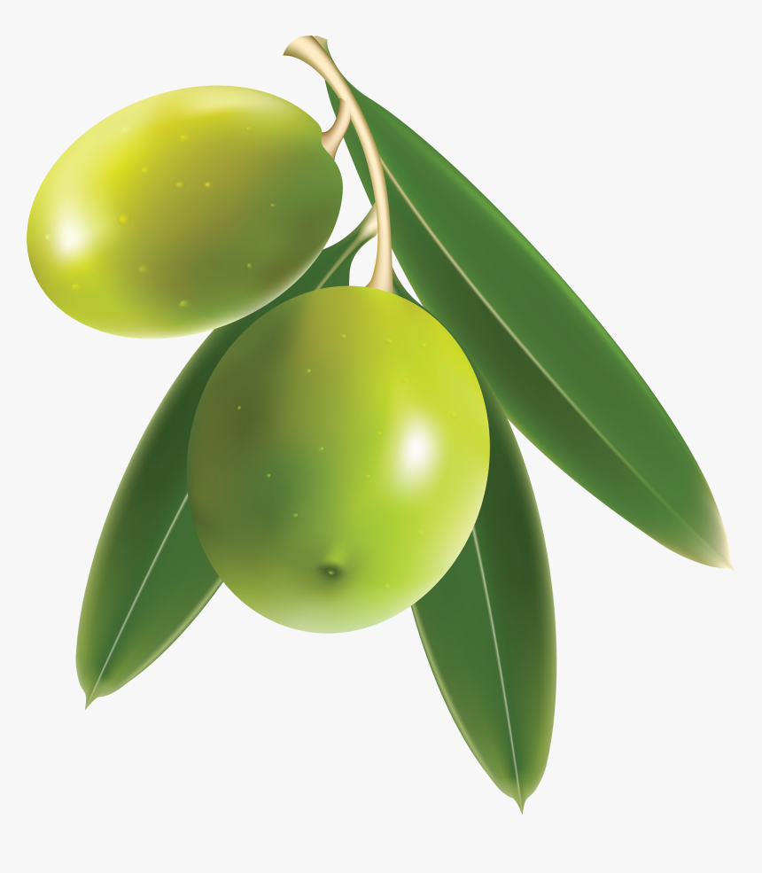 Download Olive Transparent Png - Olive Png, Png Download, Free Download