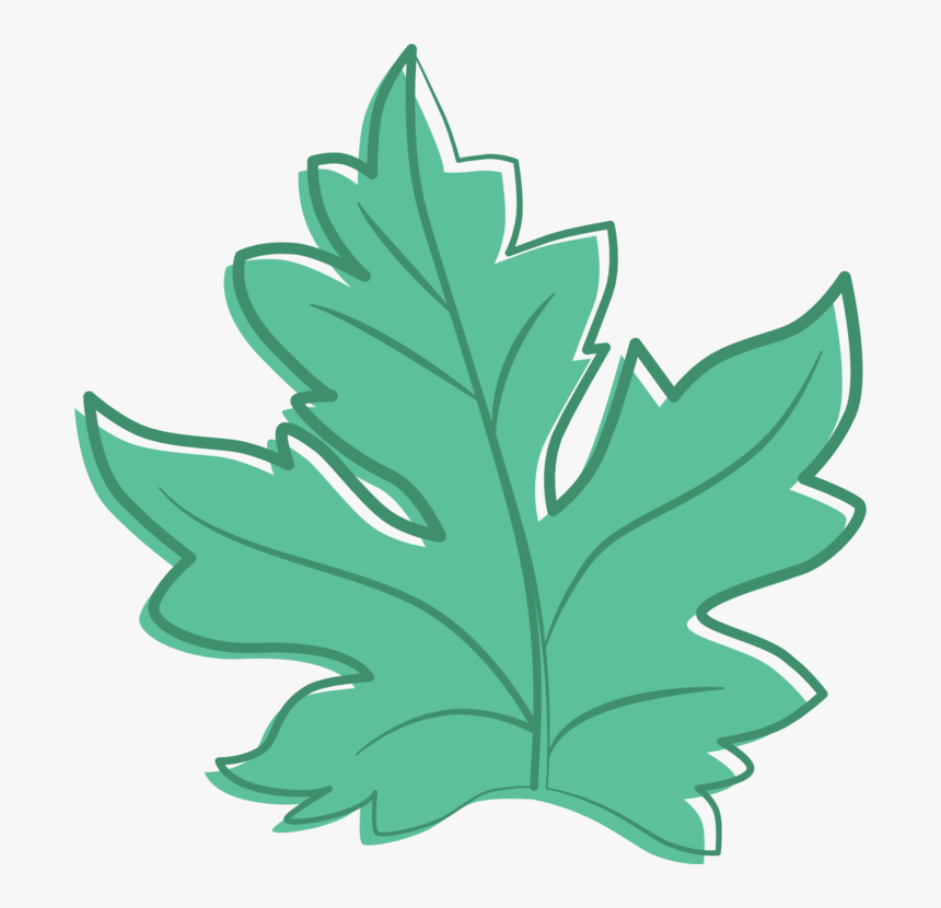 Plant,leaf,tree - Draw Water Melon Leaf, HD Png Download, Free Download