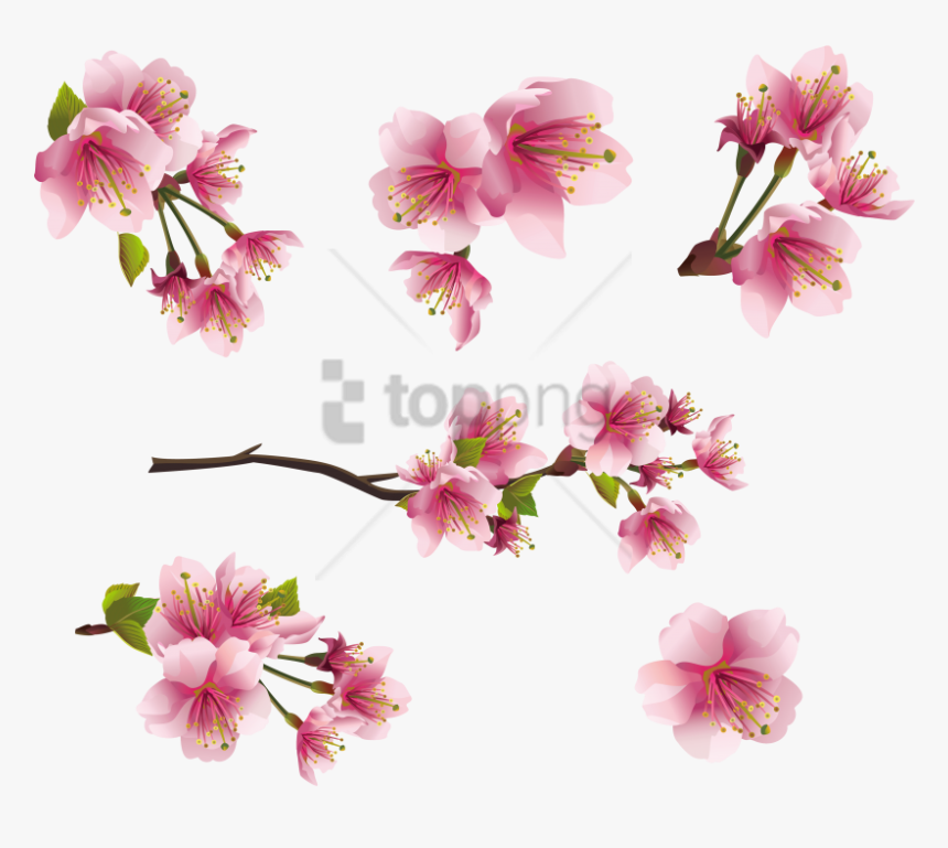Free Png Spring Png Png Images Transparent - Pink Tiny Flowers Png, Png Download, Free Download