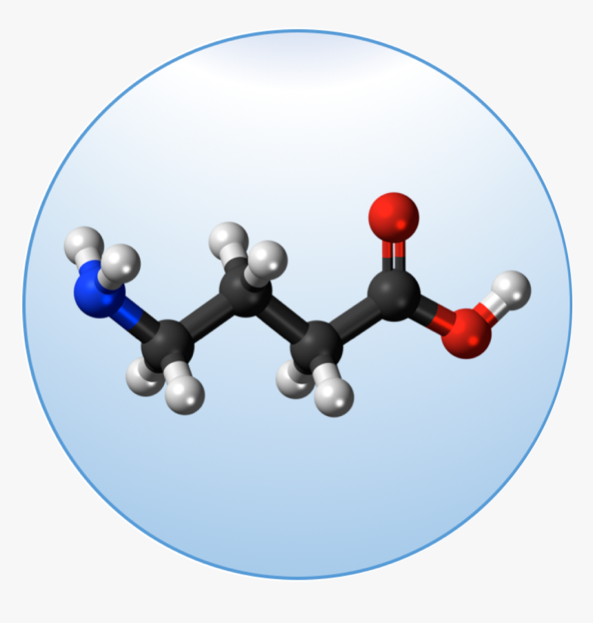 Succinic Acid 3d Structure, HD Png Download, Free Download