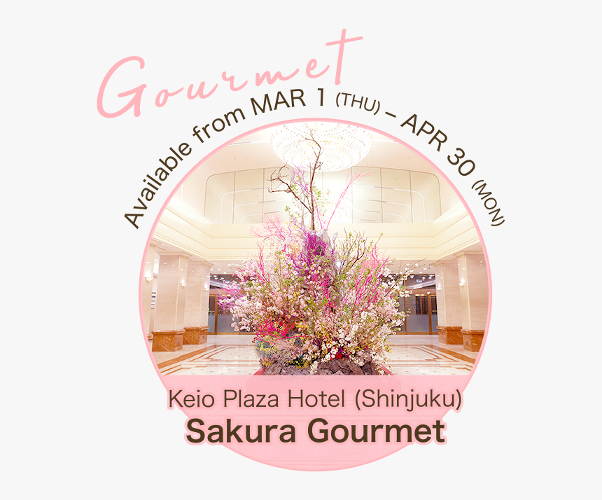 Sakura Gourmet - Decoration, HD Png Download, Free Download