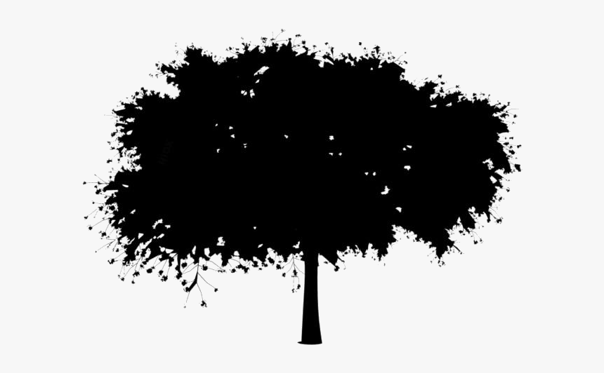 Sakura Tree Png Transparent Images - Street Tree Clip Art, Png Download, Free Download