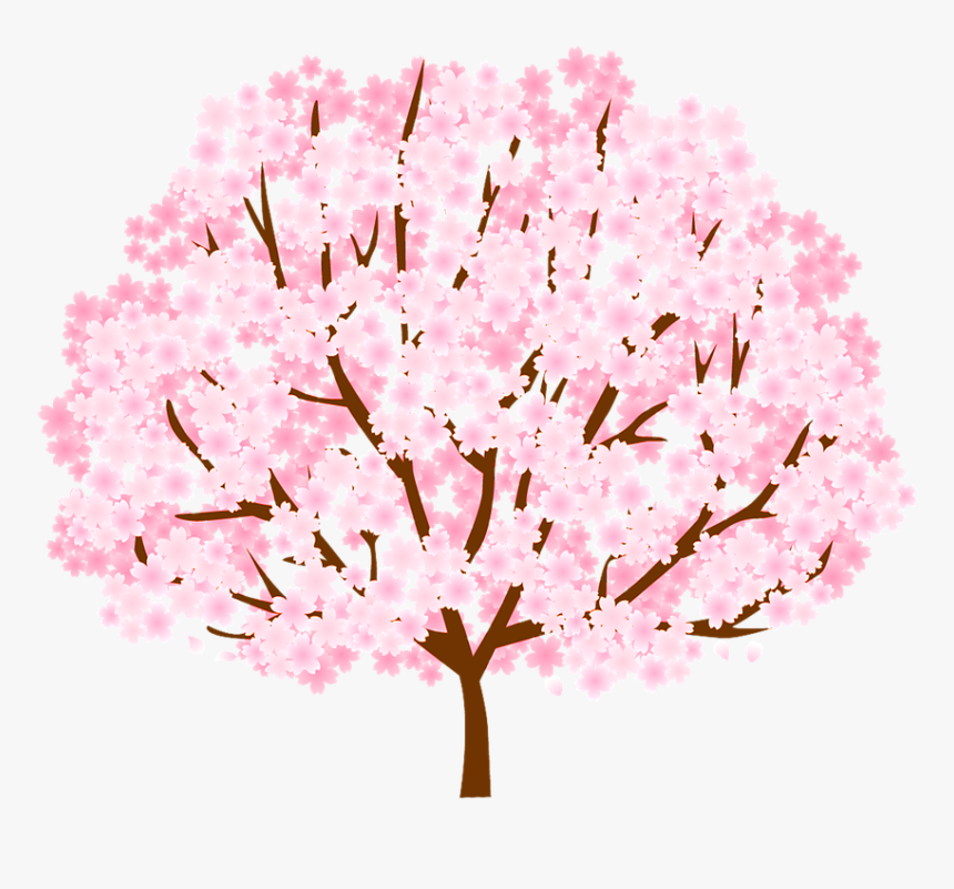 Tree, Cherry Blossom, Spring, Nature, Blossom, Pink - Cherry Blossom, HD Png Download, Free Download