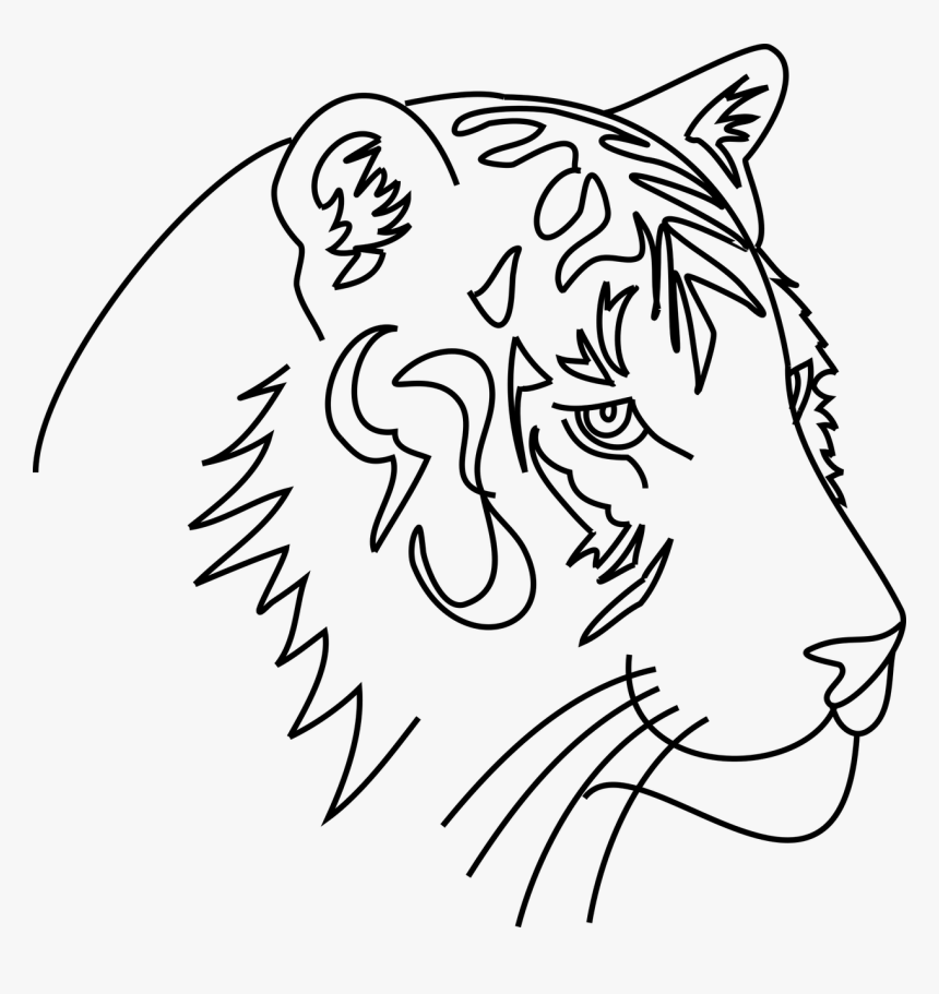 Tiger Cat Animal Free Picture - Drawing Hewan Keren Png, Transparent Png, Free Download