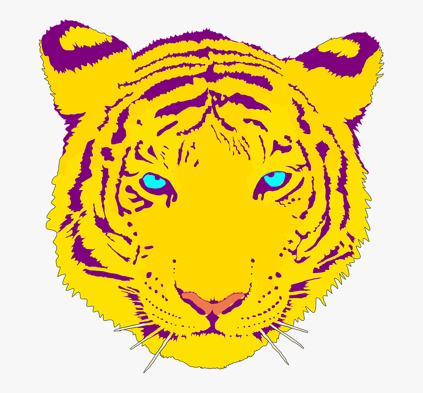 Tiger, Head, Portrait, Stare, Orange, Blue Eyes, Danger - White Tiger Clipart Transparent, HD Png Download, Free Download