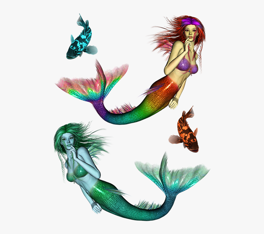 Mermaid, Siren, Mermaids, Nymph, Fantasy, Girl, Woman - Illustration, HD Png Download, Free Download