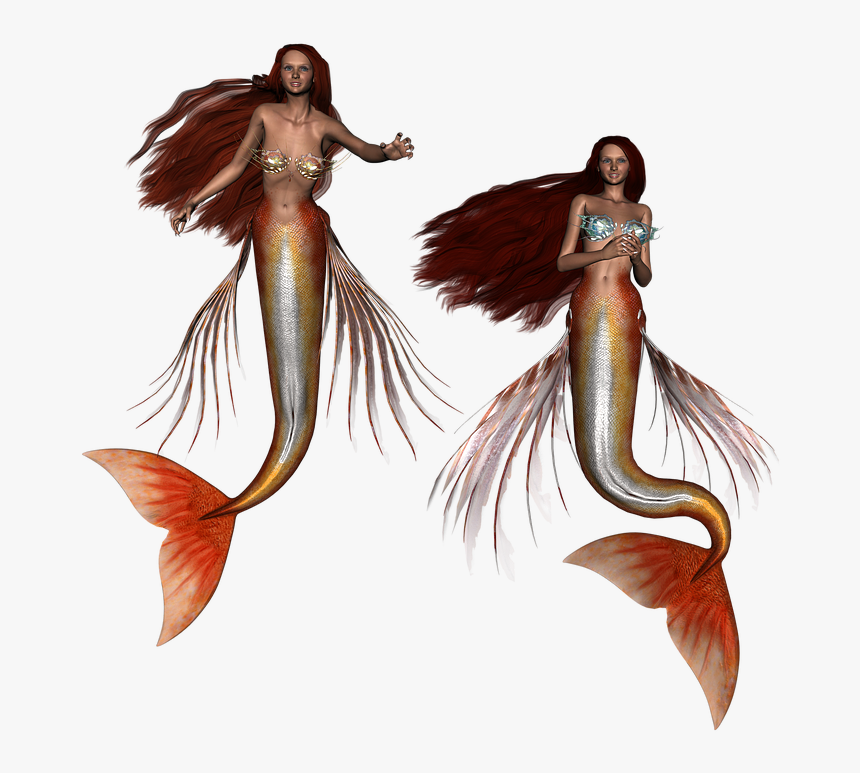 Mermaid, Fantasy, Siren, Mertail, Girl, Tail, Character - ไซเรน กับ นาง เงือก, HD Png Download, Free Download