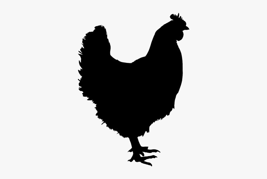 Chicken Png Transparent Images - Chicken Silhouette, Png Download, Free Download