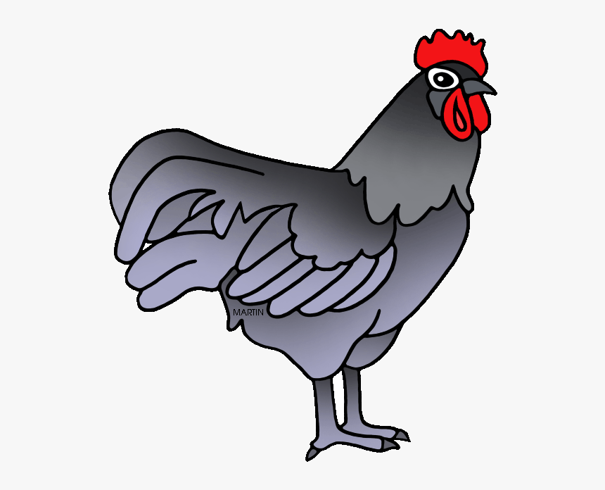 Chicken X Animals Clip Art By Phillip Martin Blue Hen - Draw Delaware's State Bird, HD Png Download, Free Download