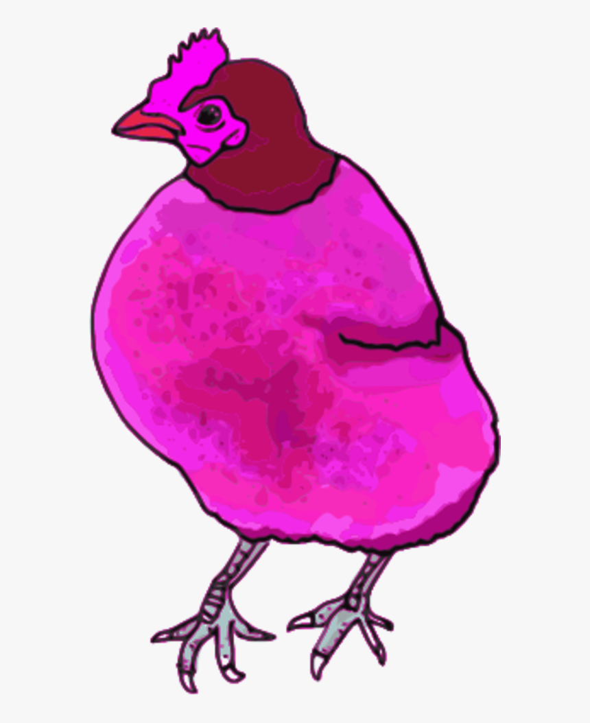 Chicken Hen Vector Image Free Download Png Clipart - Pink Chicken Png, Transparent Png, Free Download