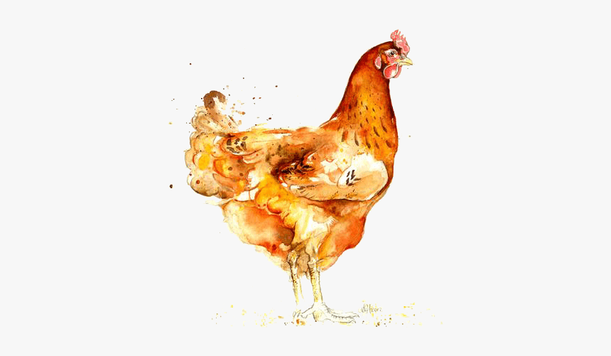 Watercolor Chicken Png, Transparent Png, Free Download