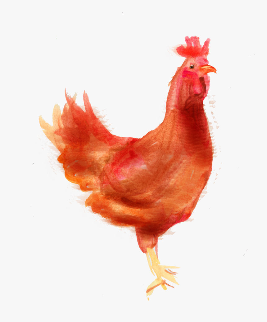 Rooster, HD Png Download, Free Download